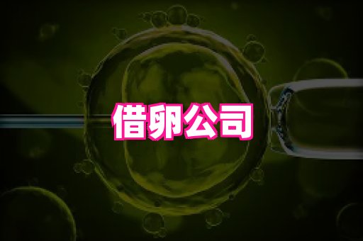幸孕 2